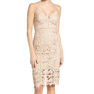 Bardot Bontanica Lace Dress in Beige, Size Small (US6)